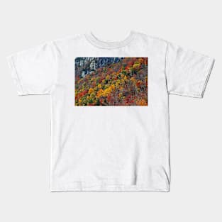 Foliage - Lake Willoughby, Vermont Kids T-Shirt